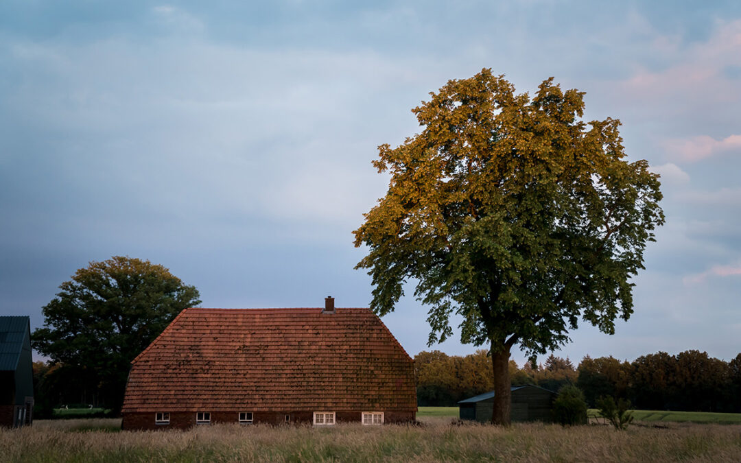 Portfolio Achterhoek